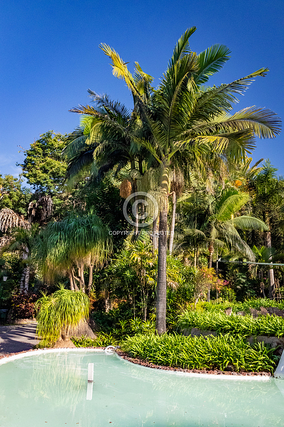 Jardín de la Marquesa - Gran Canaria