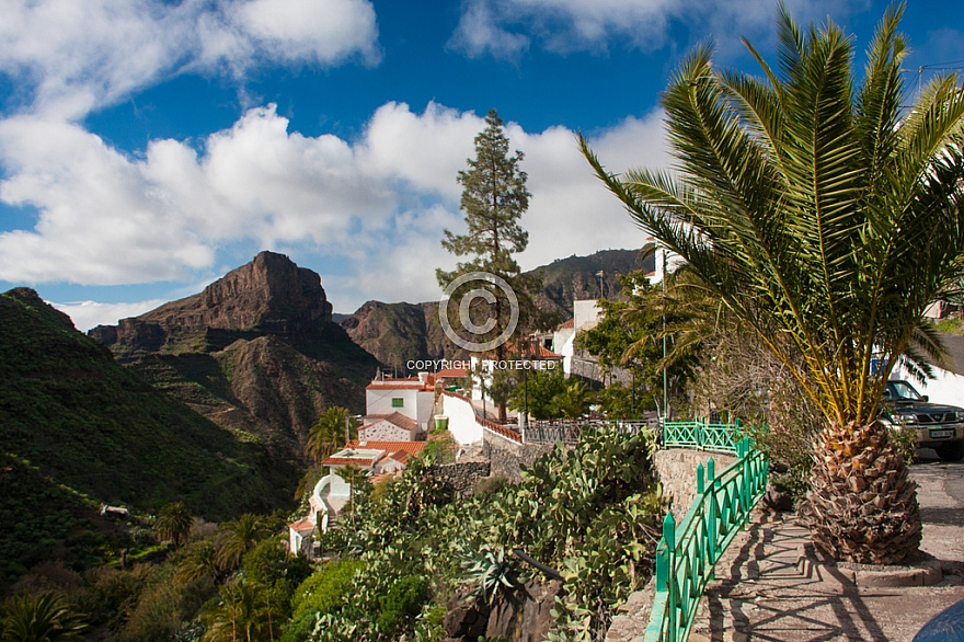 Carrizal de Tejeda