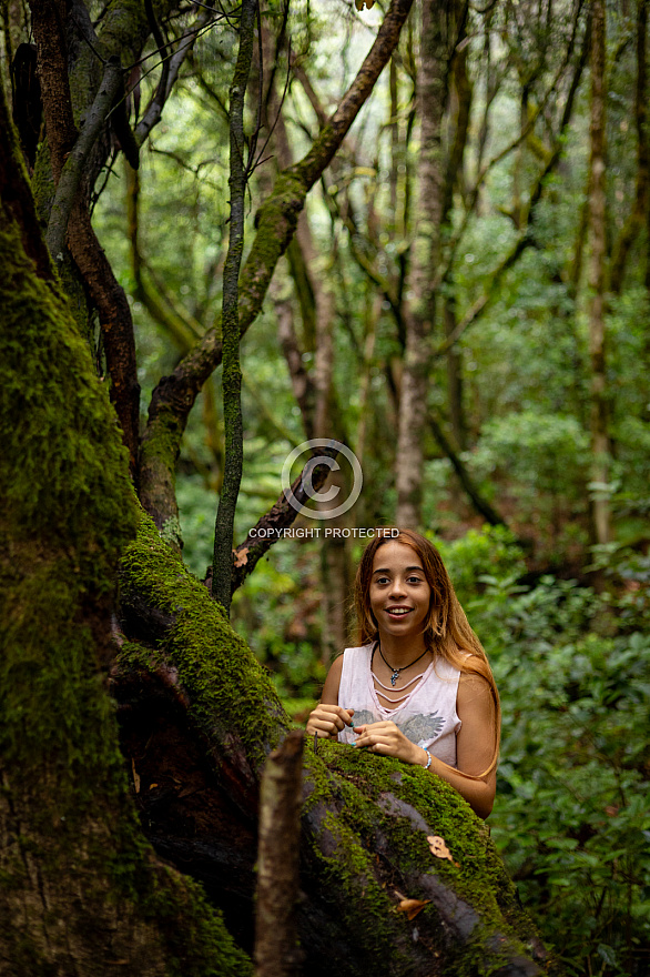 El Cedro - Garajonay