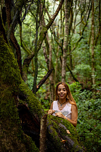 El Cedro - Garajonay