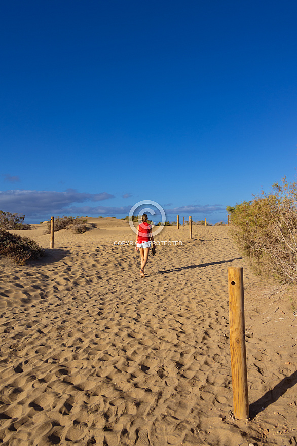 Dunas de Maspalomas: Senderos Y Miradores