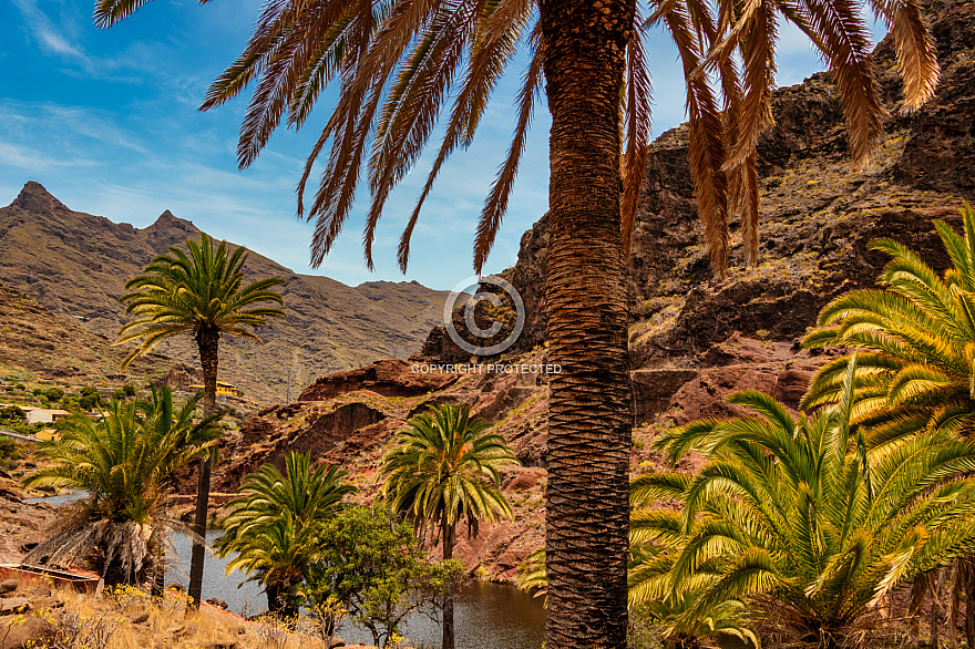 Barranco de las Lajas - La Gomera