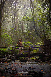 El Cedro - Garajonay