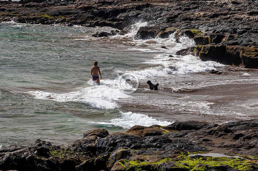 Playa del Horno - mascotas - Tenerife