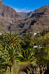 La Gomera: Barranco de Santiago