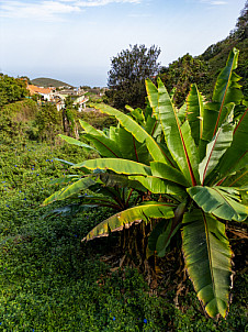 Puntallana - La Palma