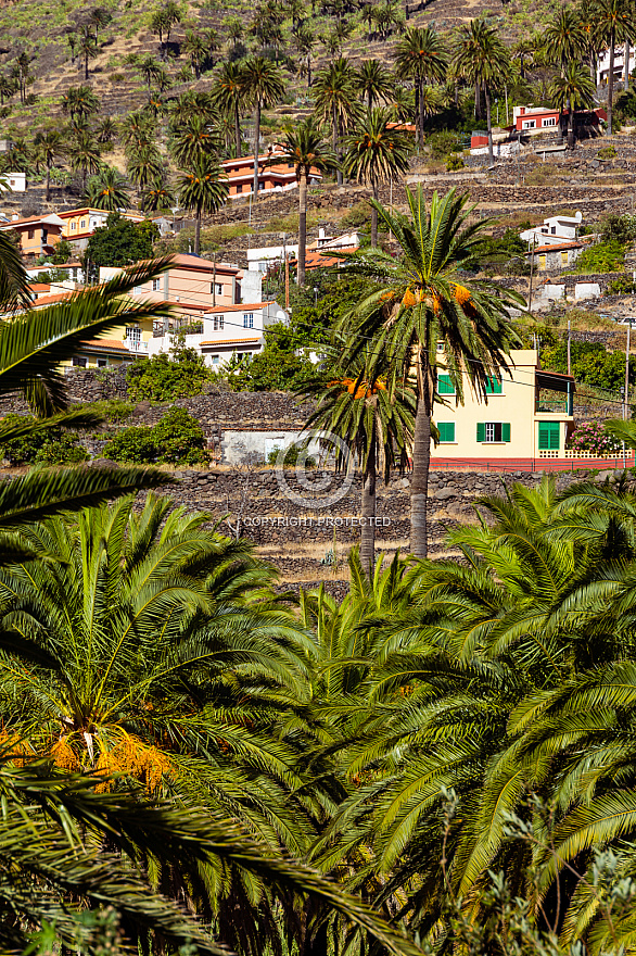 La Gomera: Valle Gran Rey