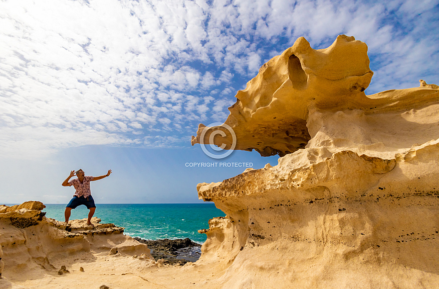 Crocodile Rock - Fuerteventura