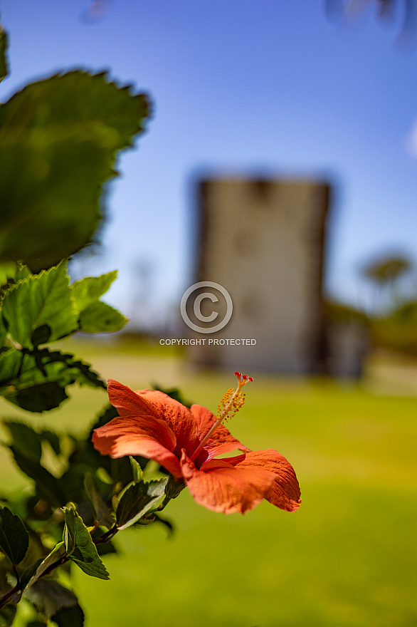 Torre del Conde - La Gomera