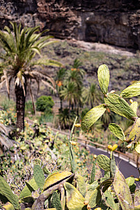 Barranco de Santiago - La Gomera