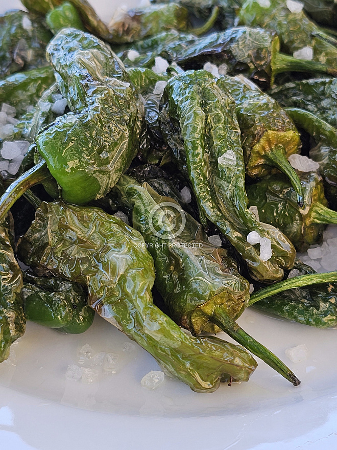 Pimientos de Padron