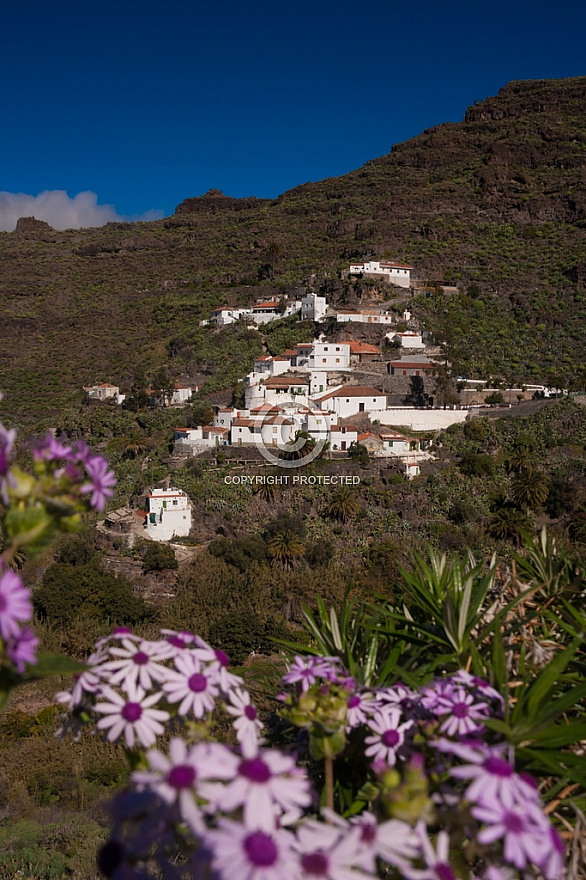 Carrizal de Tejeda