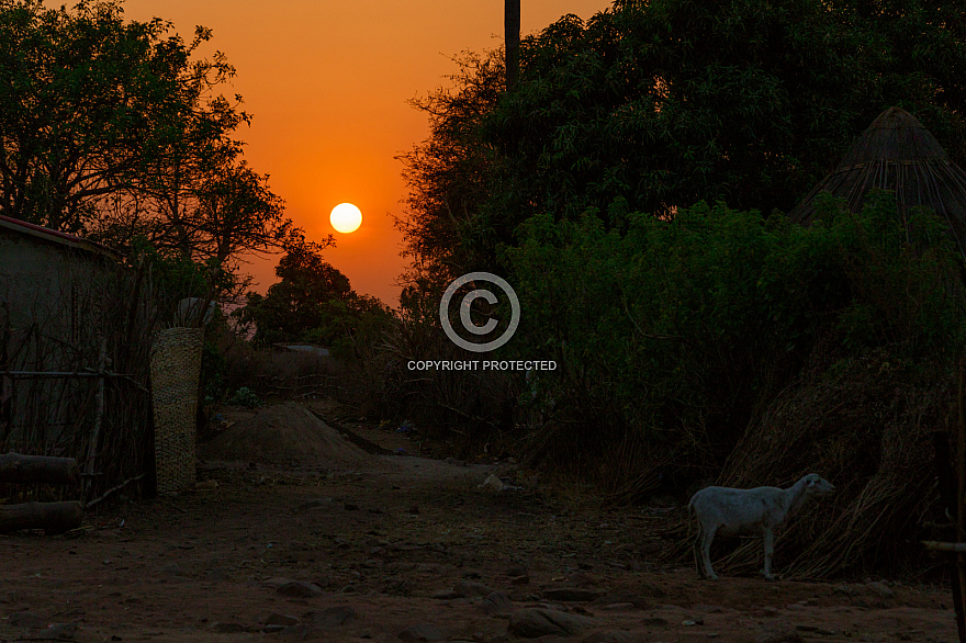 Senegal 2019