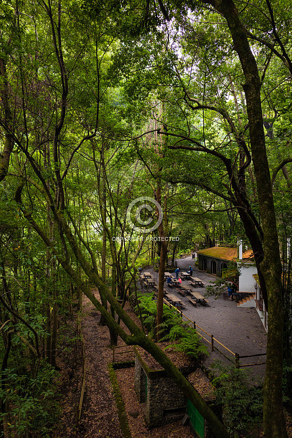 Bosque de los Tilos (Cascada - Waterfall) - La Palma