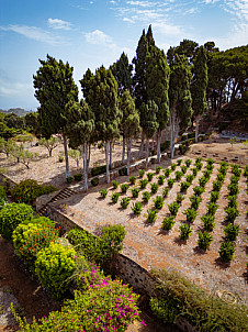 Convento de las Dominicas