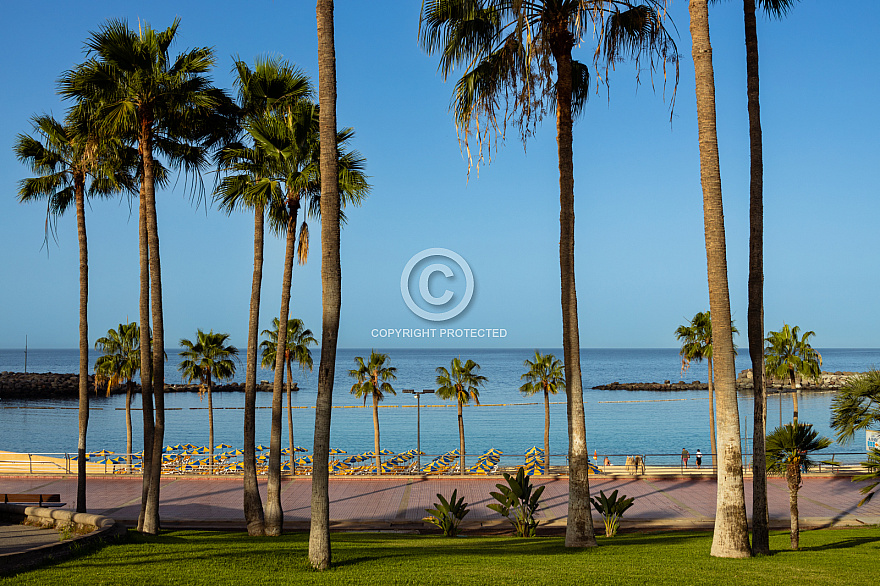 Playa de Amadores