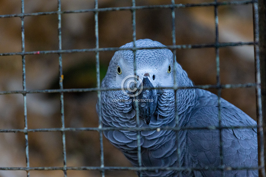 Maroparque - La Palma