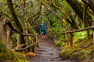 Barranco del Cedro - La Gomera