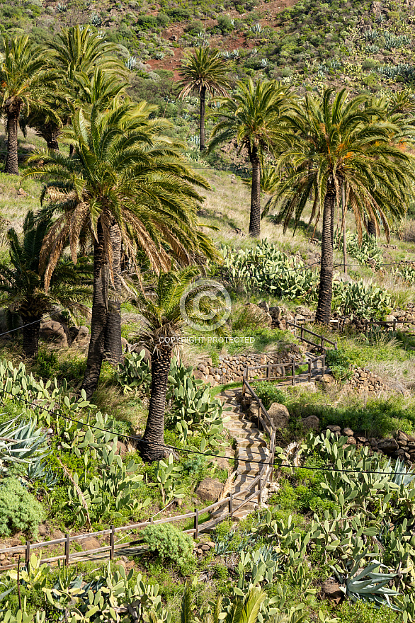 Imada - La Gomera