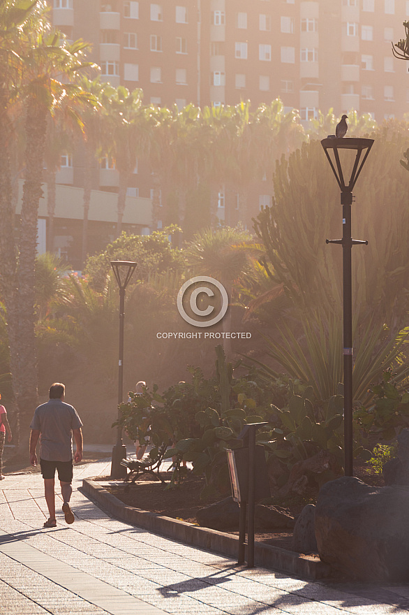 Puerto de La Cruz: Tenerife