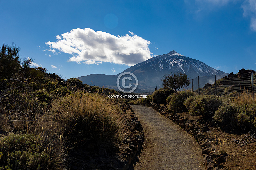 Centro de Visitantes de El Portillo Parque Nacional del Teide - Jardín Botánico - Tenerife