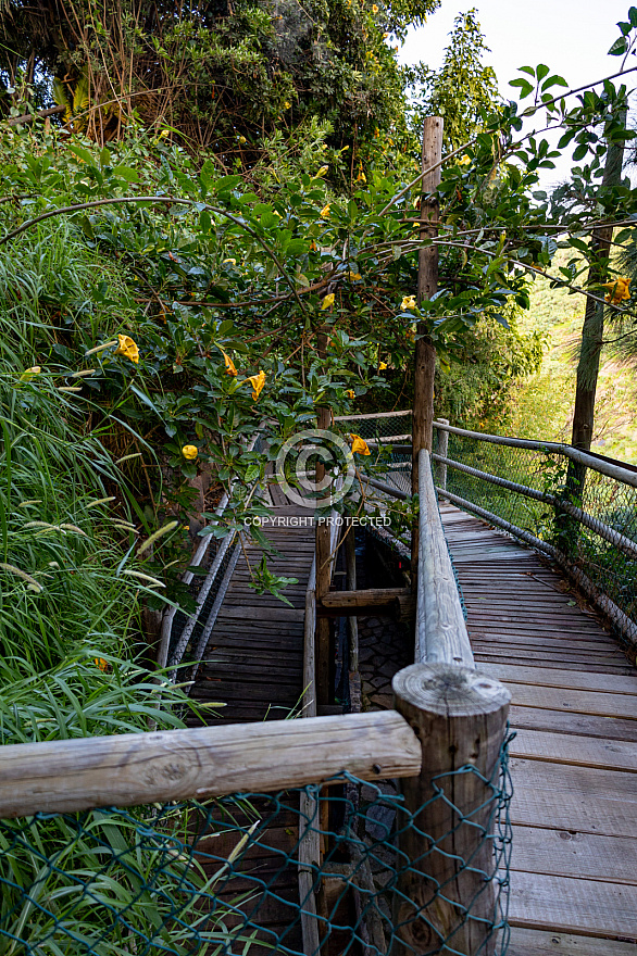 Maroparque - La Palma