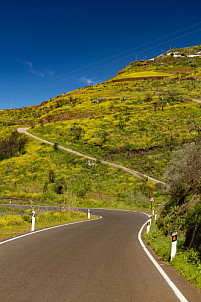 Green Gran Canaria