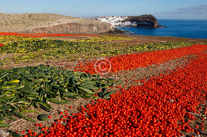 Over production vegetables