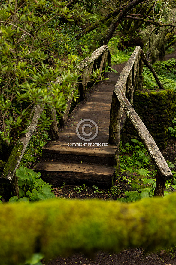 Sendero La Llanía