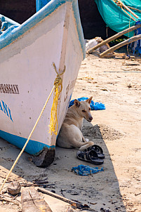 Goa - India