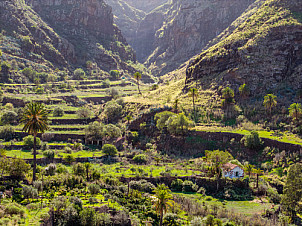 Valle de Agaete - Gran Canaria