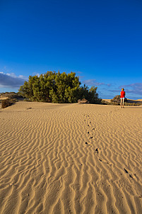 Dunas de Maspalomas: Senderos Y Miradores