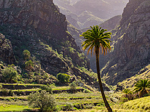 Valle de Agaete - Gran Canaria