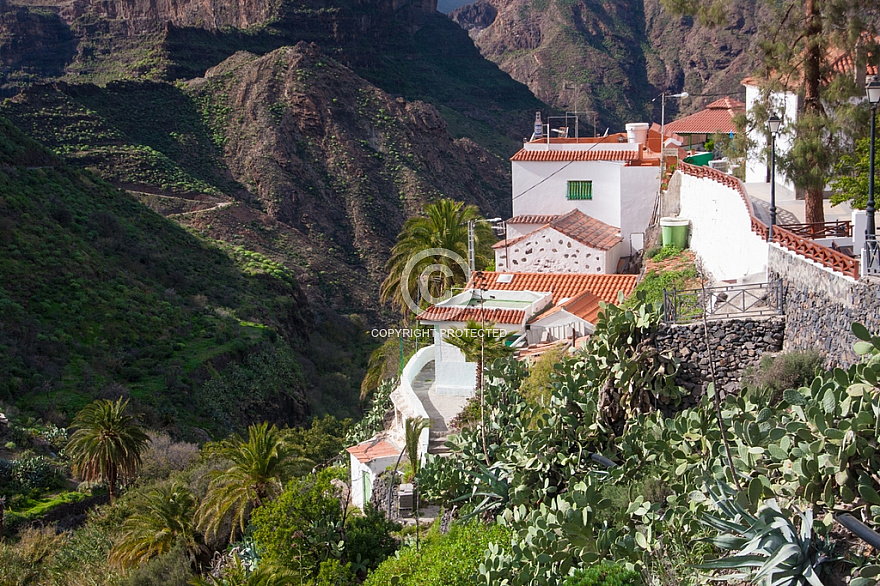 Carrizal de Tejeda