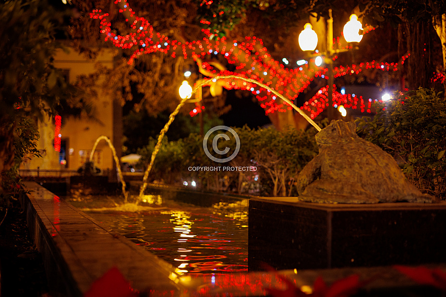 Xmas Navidad en Las Palmas