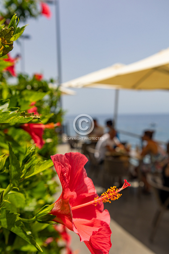 Puerto Naos - La Palma