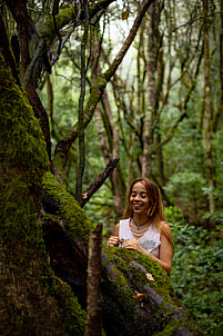 El Cedro - Garajonay