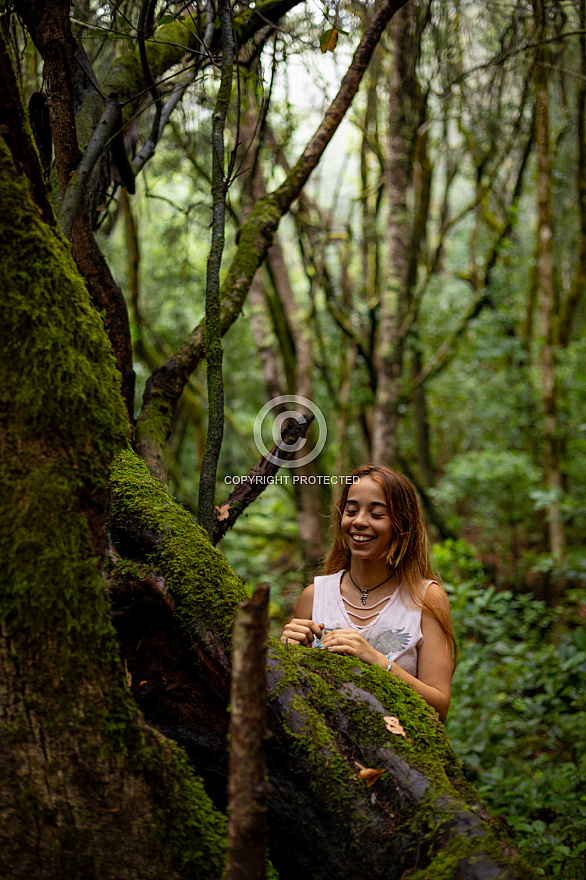 El Cedro - Garajonay