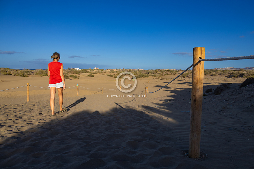 Dunas de Maspalomas: Senderos Y Miradores