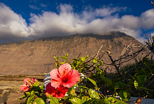 La Maceta y Sendero Litoral El Hierro