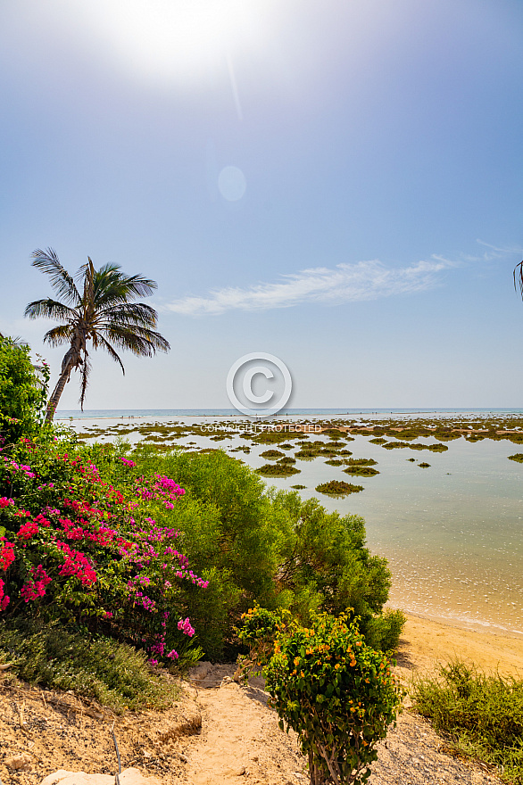 Playa y Laguna de Sotavento - Fuerteventura