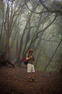 El Cedro - Garajonay