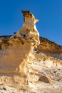 las razas - fuerteventura