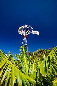 La Aldea - Gran Canaria