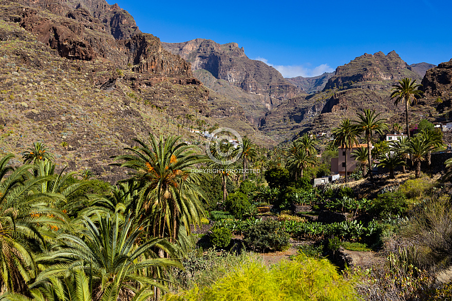 La Gomera: Barranco de Santiago