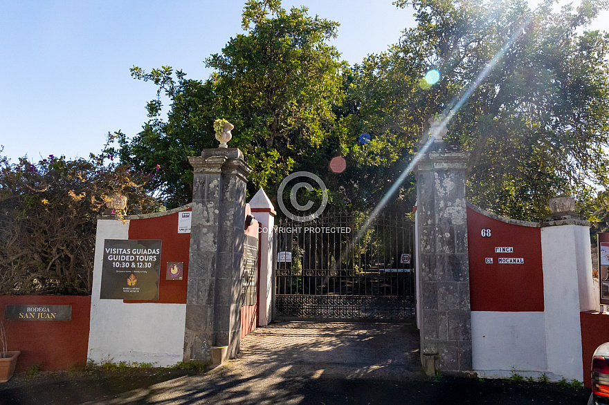 Bodega San Juan - Finca Mocanal - Gran Canaria