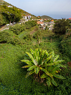 Puntallana - La Palma