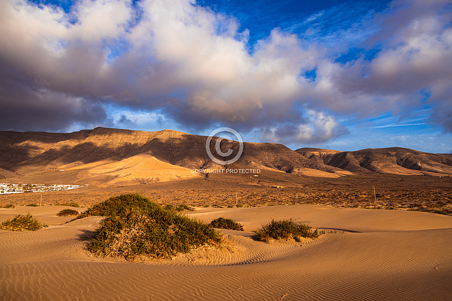 Lanzarote: Famara