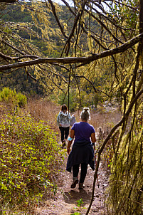 La Gomera