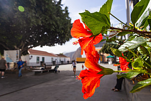 La Palma: Santa Cruz